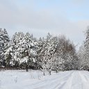 ���� ���, ��������, 41 ��� - ��������� 8 ������ 2013 � ������ ���������� 2013�