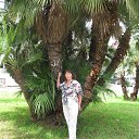  ,  -  12  2012   ,  2012