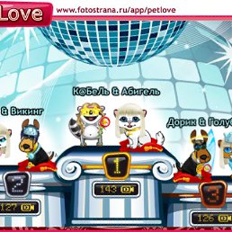 ���� ����, ��������, 42 ���� - ��������� 21 ������ 2010