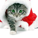 ���� ***�***, �����, 39 ��� - ��������� 18 ������� 2012 � ������ �������