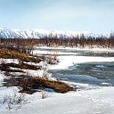 ���� ����, ��������, 50 ��� - ��������� 17 ������� 2009 � ������ ��������