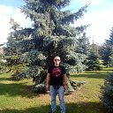 ���� �����/ �������, �������, 43 ���� - ��������� 17 �������� 2012 � ������ ���� ����������