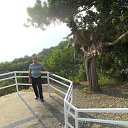 ���� ��������, ��������, 54 ���� - ��������� 29 ����� 2013 � ������ ���� ����������