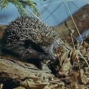 ���� ����. ��������� �� ��!, ������, 72 ���� - ��������� 30 ���� 2011 � ������ ������