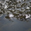  Ljumin4ik, , 37  -  20  2010    2010