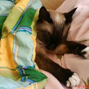 ���� ����, ����� - ��������� 4 ���� 2013 � ������ ����� ��� ������������