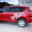 ���� ���������, ����������, 41 ��� - ��������� 31 ������� 2011