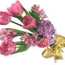 ���� �������, ����, 43 ���� - ��������� 10 ������� 2010