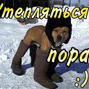 ���� !!!!! �����!!!!!, ���� - ��������� 7 ������� 2012 � ������ ������ ��������