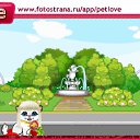   , , 23  -  13  2010   PetLove