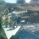 ���� ������, ���������, 41 ��� - ��������� 13 ���� 2011 � ������ ��������� �� ������