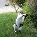 ���� �������, �������������, 64 ���� - ��������� 13 ������ 2012 � ������ ��������