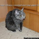 ���� ���������, ����������, 47 ��� - ��������� 3 ������� 2010 � ������ ���������