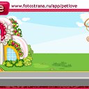 ���� ���������, �����, 39 ��� - ��������� 9 ������� 2010 � ������ �PetLove�