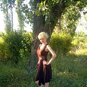  , --, 42  -  8  2012      