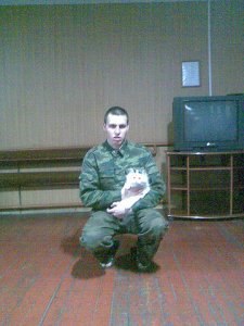 �������, �������, 34 ����