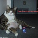 ���� �������, ���������, 49 ��� - ��������� 21 ��� 2012 � ������ ���� ����������