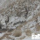 ���� ���������, ������, 56 ��� - ��������� 21 ������� 2012 � ������ ������