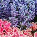 ���� ����� - ���������� ��������!!!, �����������, 56 ��� - ��������� 4 ������ 2010 � ������ �����ۻ