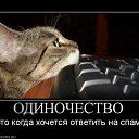���� ��, ������������, 39 ��� - ��������� 17 ������ 2010 � ������ ���������