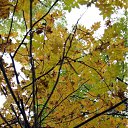 ���� �������, ������ - ��������� 28 �������� 2010 � ������ �������� ���� :)))�