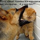   -,    ,   .  .     .   - - !