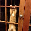 ���� Fbi, ������, 39 ��� - ��������� 28 ��� 2013 � ������ ���� ����������