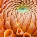 ���� ����� - ���������� ��������!!!, �����������, 56 ��� - ��������� 11 ������ 2010 � ������ ����������