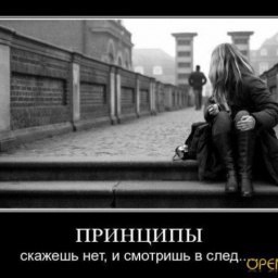 ������, ������, 36 ���