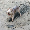 ���� ���������, ������� - ��������� 11 ������� 2010 � ������ �����