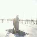 ���� ���������, �������, 43 ���� - ��������� 7 ������� 2013 � ������ ���� ����������