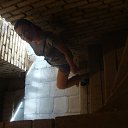 ���� ��������, ������, 35 ��� - ��������� 18 ������� 2012 � ������ ���� ����������