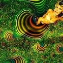 ���� ������, ��������������, 65 ��� - ��������� 18 �������� 2009 � ������ �����������
