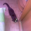 ���� �����, �����-���������, 48 ��� - ��������� 16 ������� 2012 � ������ �������