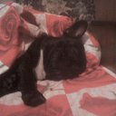 ���� �����, �������, 57 ��� - ��������� 15 ����� 2012 � ������ ���� ����������