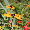 ���� ����, ������, 38 ��� - ��������� 28 ���� 2010 � ������ �������