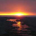 ���� ��������, ������ - ��������� 21 ����� 2012 � ������ �������� �����