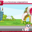  , , 45  -  8  2010   PetLove