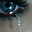 ���� ����, �����-���������, 39 ��� - ��������� 24 ������� 2012 � ������ ���� ����������