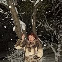 ���� ������, �������� - ��������� 25 ������ 2013 � ������ ���� ����������
