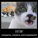 ���� ���������, ������, 57 ��� - ��������� 24 ���� 2011 � ������ ���������