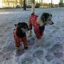 ���� Yushka Ya, �����-��������� - ��������� 12 ������ 2013 � ������ ���� �������)�