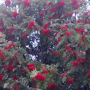 ���� ����, ������� �������� - ��������� 26 ������� 2012