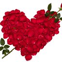 ���� ���������, ������, 61 ��� - ��������� 12 ����� 2013 � ������ ���� ����������