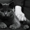 ���� ��������, ������-��-���� - ��������� 4 ������ 2013 � ������ �������