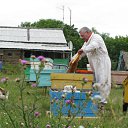 ���� �������, ������, 85 ��� - ��������� 11 ������� 2009 � ������ ���� ����������