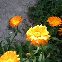 ���� ������, ������������ - ��������� 11 ������ 2012 � ������ ���� �����