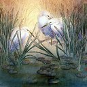 ���� Amindomano, ����� - ��������� 10 ������� 2010 � ������ ������