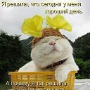 ���� Julia, ������ - ��������� 3 ������� 2012 � ������ ���� ����������