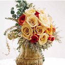 ���� ����� - ���������� ��������!!!, �����������, 56 ��� - ��������� 15 ������ 2010 � ������ ����ۻ